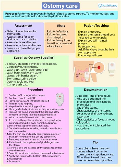 Ostomy Care Summary Fundamentals Of Nursing Nsg3023 Studocu