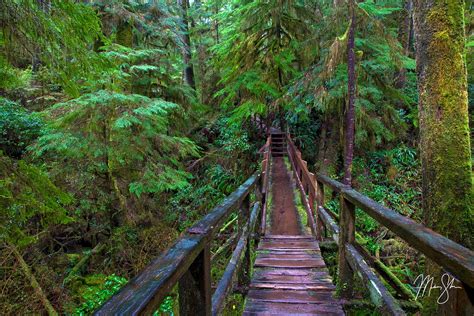 Pacific Rim National Park Vancouver Island Bc Canada Pacific Rim