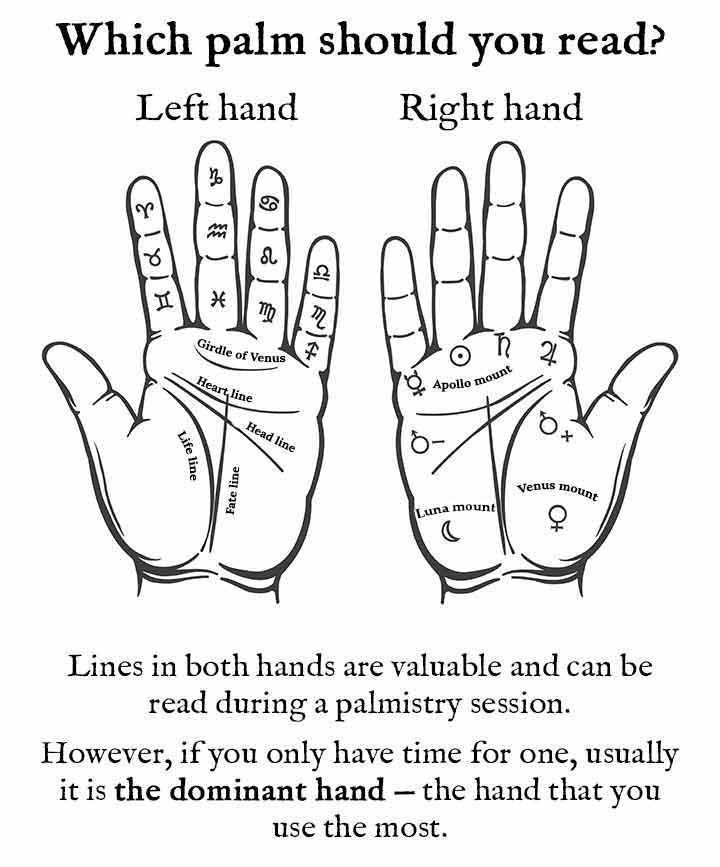 Palm Reading Guide How To Read Your Own Palm Artofit