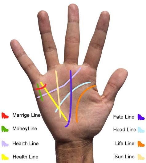 Palm Reading Life Line Palm Reading Lines Palm Reading Palmistry