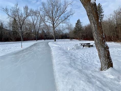 Meadows Rec Centre Rink: Book Your Ice Today - Black Atlantic