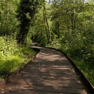 Paradise Local Nature Reserve Cambridge City Council