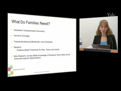 Parental Perspectives And Supporting Families Alison Singer