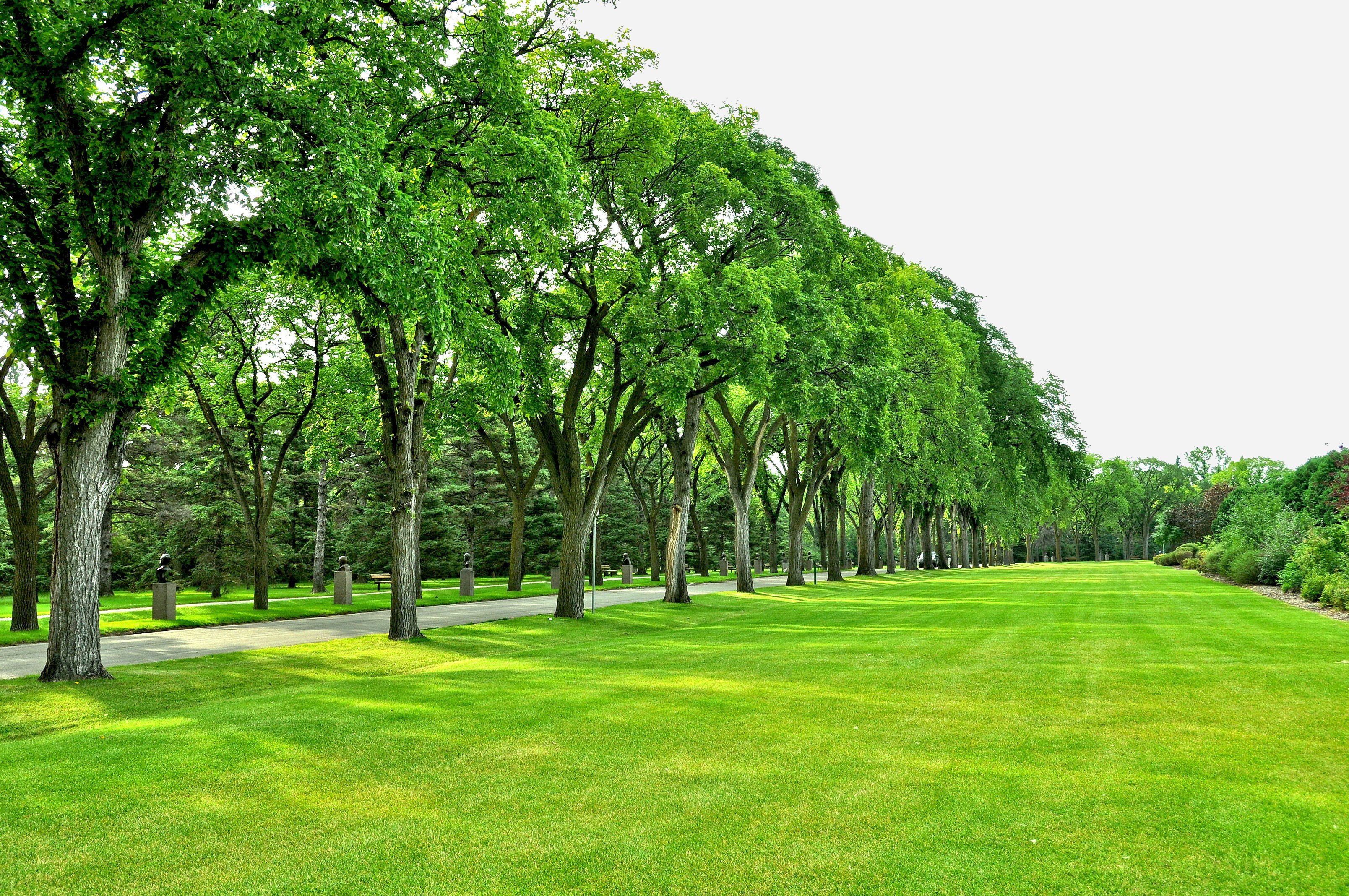 Park Trees Road Field Lawn Wallpapers Hd Desktop And Mobile