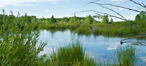 Parkland Alberta Wilderness Association