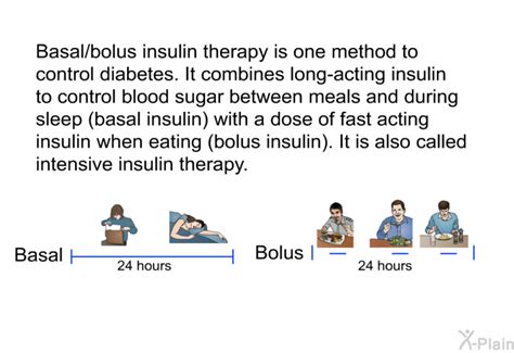 Patedu Com Basal Bolus Insulin