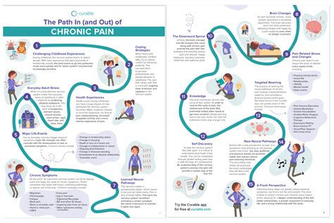 Path In And Out Of Chronic Pain Infographic Jen Roland