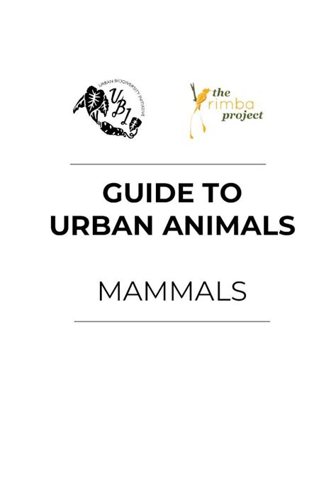 Pdf Guide To Urban Animals Feeding Behaviour Omnivore Food Items