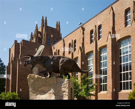 Peabody Museum Of Natural History Yale University Stock Photo Alamy