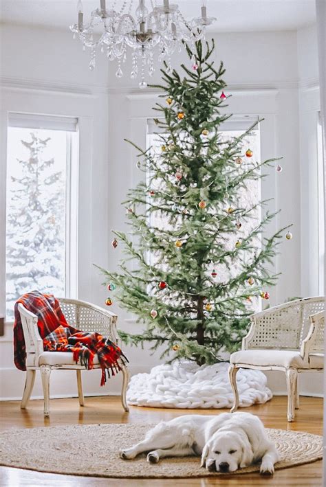 Pecan Christmas Tree Ideas: Decorating Made Easy