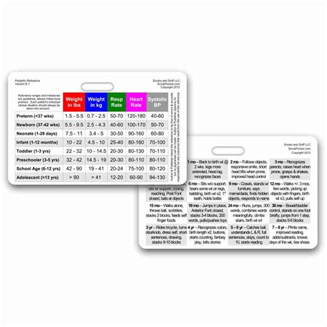 Pediatric Vital Signs Developmental Milestones Horizontal Badge Id