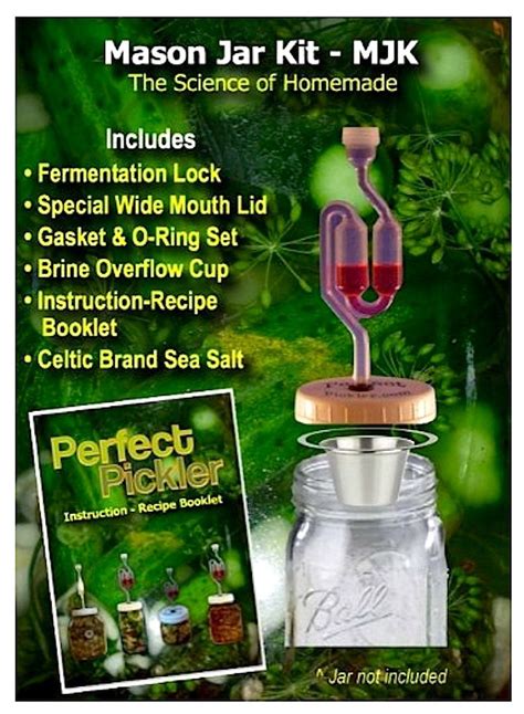 Perfect Pickler Jar Top Fermentor System Amazon Com Kitchen