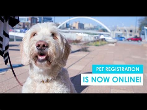 Pet Licensing Online Registration Now Available Youtube