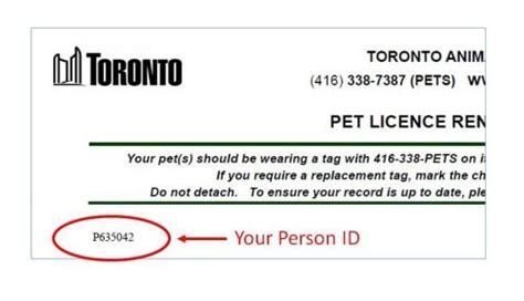 Pet Registration Toronto: Get Your Pet Licensed Fast