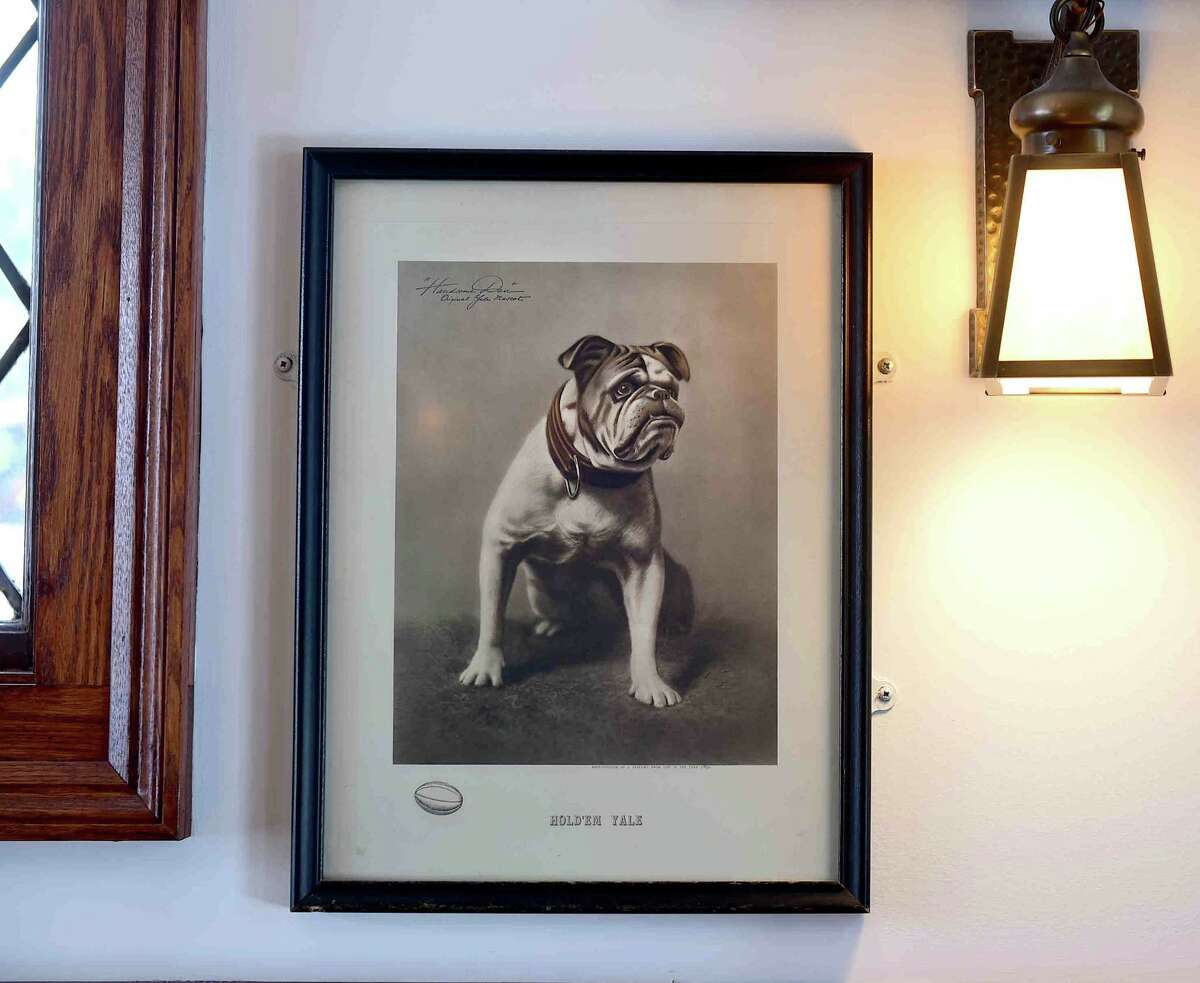 Photos Of Handsome Dan Yale S Bulldog Mascot