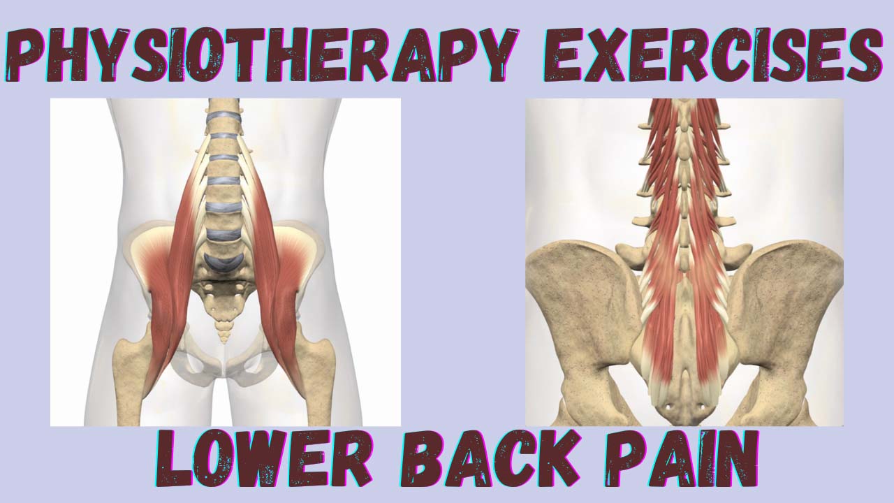 Physical Therapy Exercises For Hip And Lower Back Pain At Sylvia Munz Blog