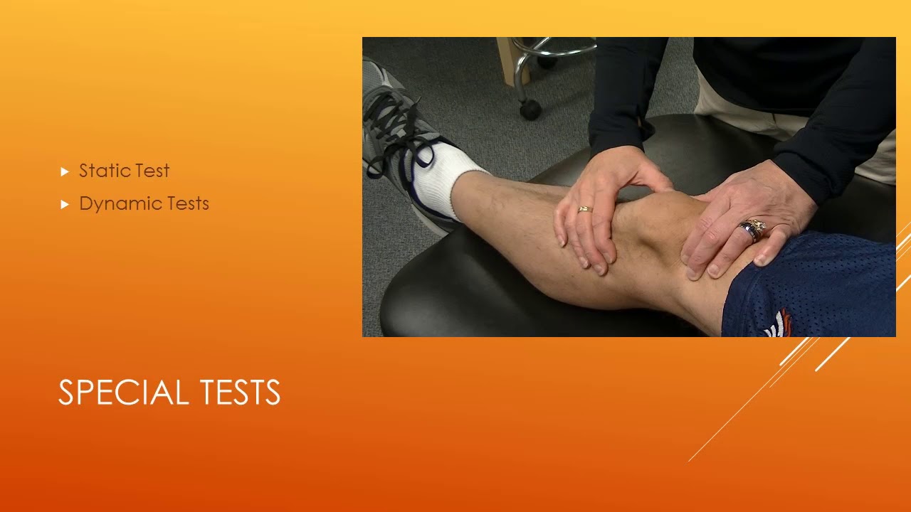 Physical Therapy Exercises For Patellar Subluxation Online Degrees