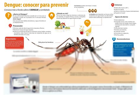 Picaduras De Ara As Tipos S Ntomas Tratamientos Y Prevenci N