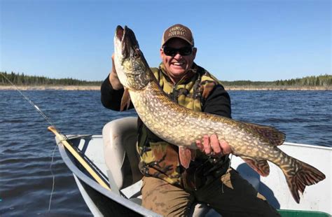 Pike Walleye Fishing Alberta Fishing Northern Alberta