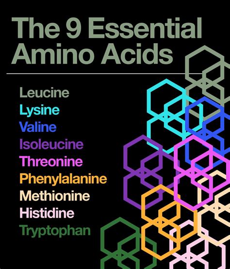 Pin On Amino Acids