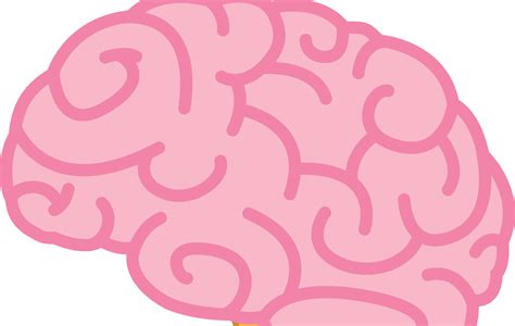 Pink Brain Clipart