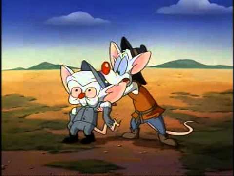 Pinky And The Brain 117 Mouse Of La Mancha Episode