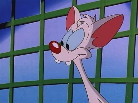 Pinky And The Brain Brainania Tv Episode 1995 Imdb