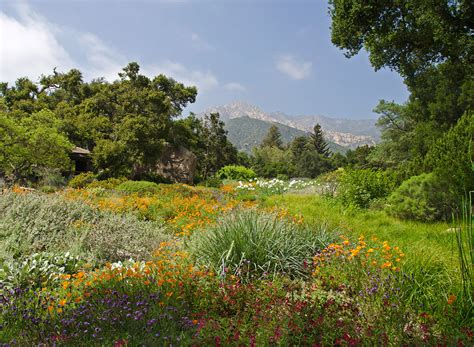 Plan Your Visit To Santa Barbara Botanic Garden Weather Hours