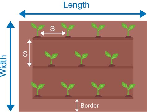 Plant Spacing: Calculate Perfect Distance Easily