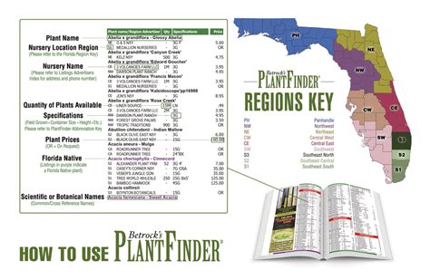 Plantfinder By Betrock Informatiom Florida Plants Plant