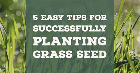 Planting Seeds: Easy Success Tips