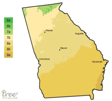 Planting Zones Georgia Hardiness Gardening Climate Zone