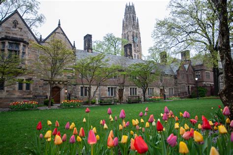 Poet Charles North Reads At Jonathan Edwards College Tea Yale Daily News