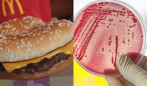 Popular Mcdonald S Burger Linked To Fatal E Coli Outbreak