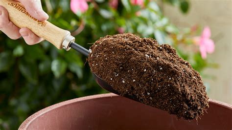 Potting Soil With Sand