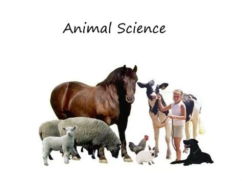 Ppt Animal Science Framework Presentation Powerpoint Presentation