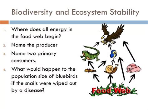 Ppt Biodiversity And Ecosystem Stability Powerpoint Presentation