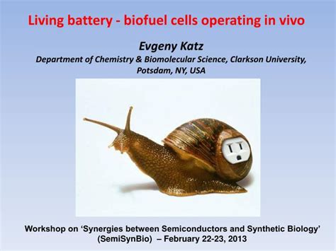 Ppt Evgeny Katz Department Of Chemistry Biomolecular Science