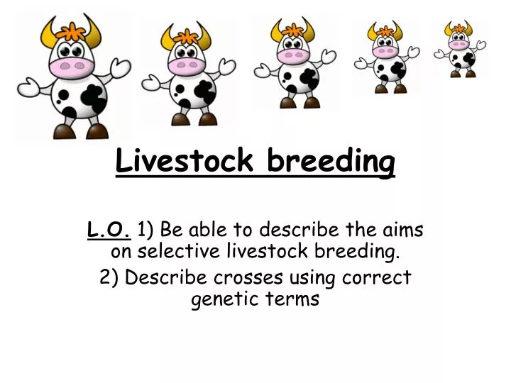 Ppt Livestock Breeding Powerpoint Presentation Free Download Id