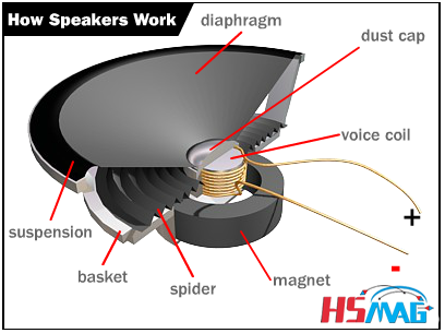 Ppt Magnets Make Speakers Work Powerpoint Presentation Free Download