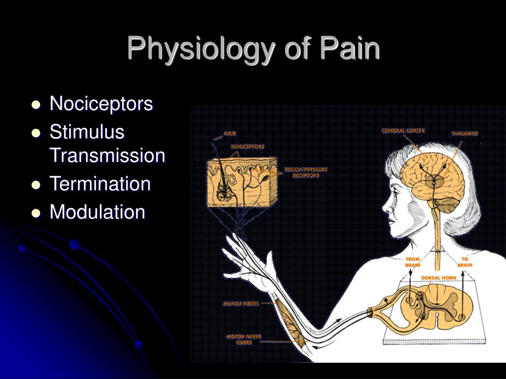 Ppt Pain Powerpoint Presentation Free Download Id 2239455