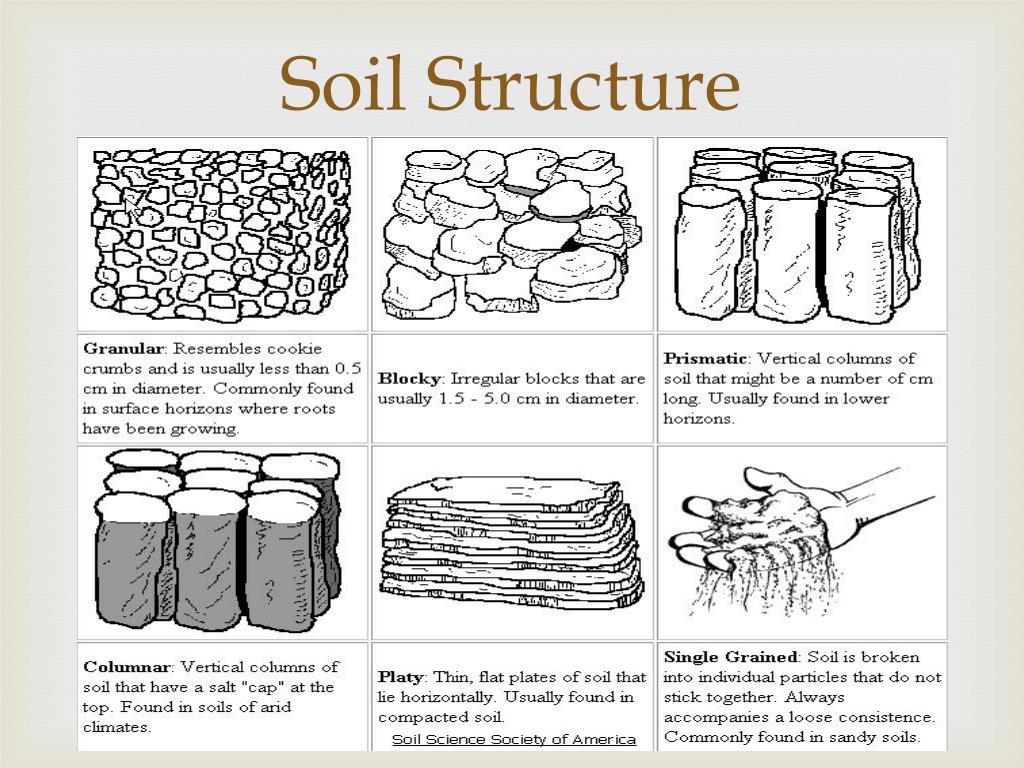 Ppt Soil Components Powerpoint Presentation Free Download Id 5468542