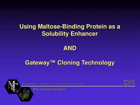 Ppt Using Maltose Binding Protein As A Solubility Enhancer And