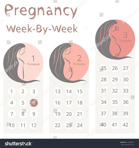 Pregnancy Calendar 3 Weeks Calendar Printables Free Templates