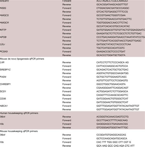 Primer Sequences For Mouse Qpcr Download Scientific Diagram