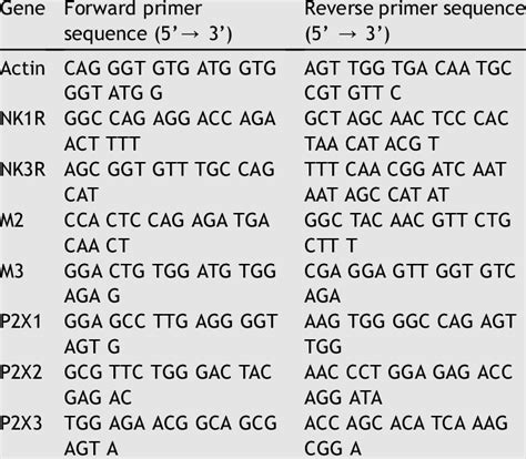 Primer Sequences For Rat Used In Real Time Quantitative Pcr Rt Qpcr