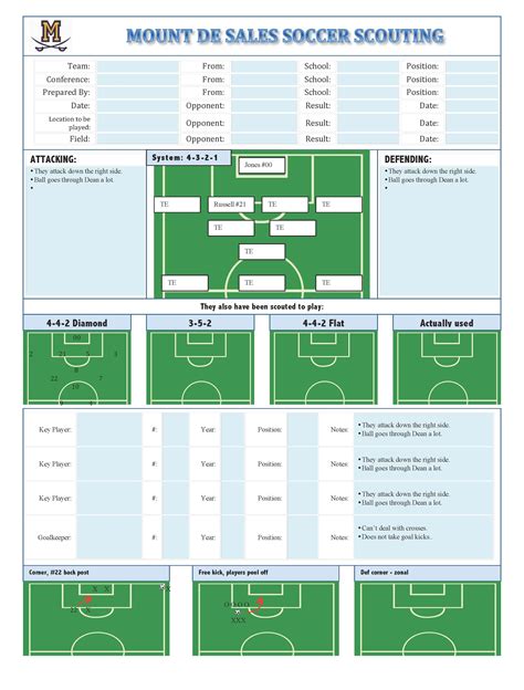 Professional Sports Report: Expert Assessment Of Match Preparations