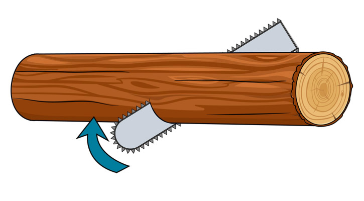 Proper Chainsaw Techniques For Cutting Trees Logs Stumps