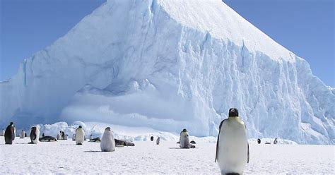 Protecting And Managing Special Areas Australian Antarctic Program