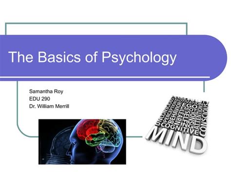 Psychology Fundamentals: Expert Insights